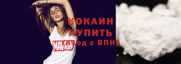 стаф Алзамай