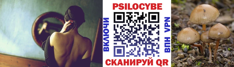 Купить  Белореченск  Псилоцибиновые грибы MAGIC MUSHROOMS 